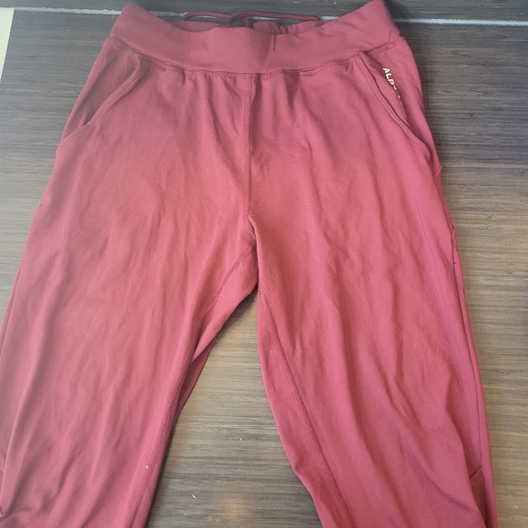 Alphalete Pro Elite Joggers Small Red - Picture 3 of 5